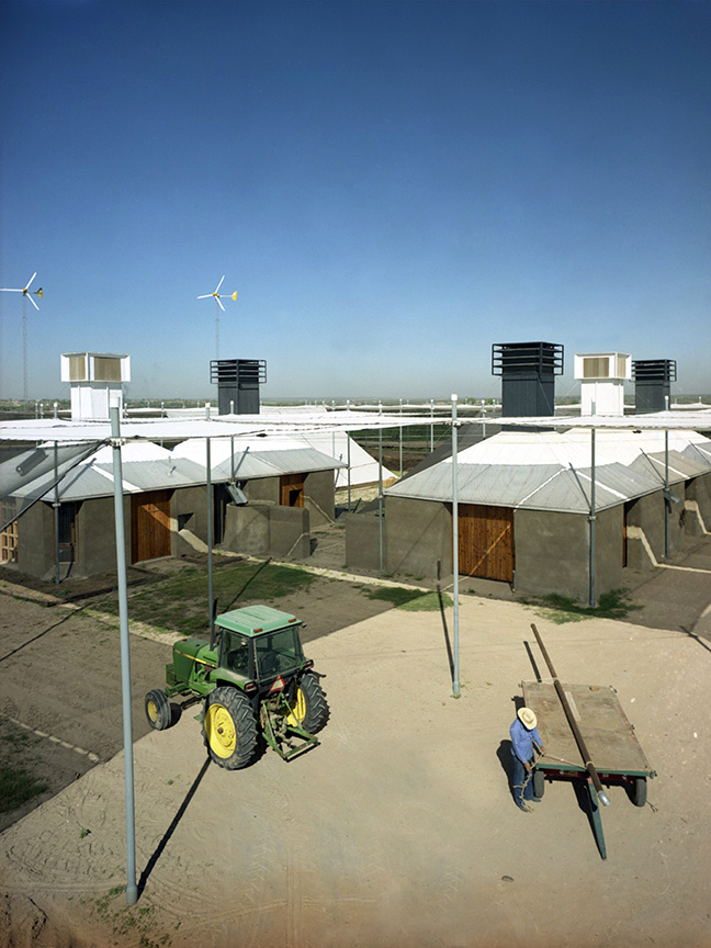 Laredo © Greg Hursley